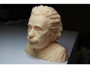 albert einstein fallimento viso maschio scultura statua arte sculture 3d print model - Mito3D