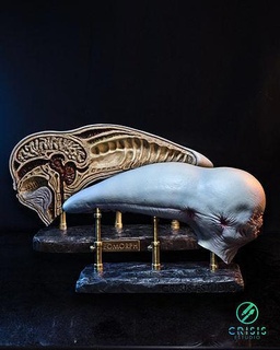 estrangeiro pacto dissecado neomorfo cabeça davids laboratório giger xenomorfo david sci fi Horror cósmico Prometeu Weyland predador criatura estátua colecionável 3dprint arte esculturas 3d print model - Mito3D