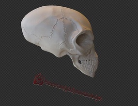 alien crystal skull indiana jones ready to print clear skulls 3d aliens prop movie hobby diy 3d print model - Mito3D