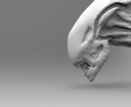 extraterrestre xenomorfo cabeza boca accesorio extraterrestres convenio prometedor ciencia fi criatura astronave ficción ciencias espacio personaje juegos juguetes 3d print model - Mito3D