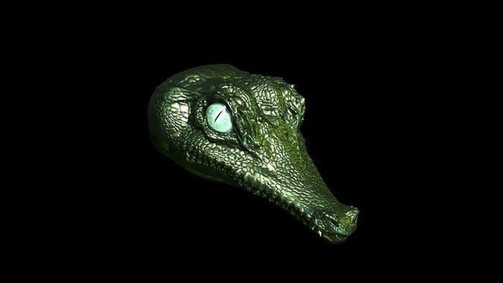 Aligator Kopf Natur Reptil Bildhauerei Tier 3d Kunst Skulpturen 3d print model - Mito3D