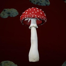 amanita mushrooms mushroom nature summer plant forest one red poison science biology 3d print model - Mito3D