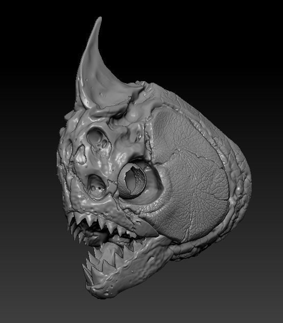 amazonas piranha crânio animal peixe esqueleto ciência biologia 3D print model - Mito3D
