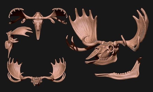 americano alce cráneo hueso cuernos joyería madera cabeza anatomía esqueleto muerto muerte animal Ciencias metal miniaturas biología imprimible oro matriz plata 3d print model - Mito3D