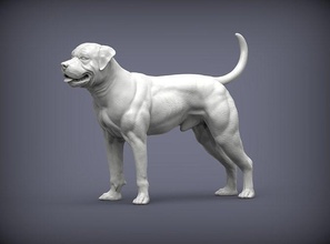 Amerikan bulldog köpek doğa memeli hayvan Evcil Hayvan heykel heykelcik hatıra 3d Yazdır model şekil vermek Sanat heykeller yazdırılabilir 3d print model - Mito3D