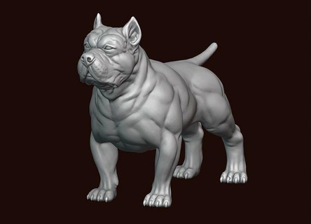américain brute animal compagnie chien combat compagnon canin mammifère pitbull bouledogue terrier chienchien rottweiler chiot art sculptures 3d print model - Mito3D