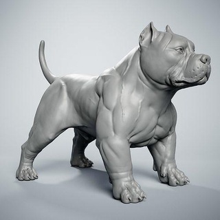 américain brute chien bouledogue animal impression statue fugurine Etats Unis imprimable miniatures figurines art sculptures 3d print model - Mito3D