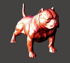 amerikanisch schikanieren hund tier haustier americanbully eckzahn säugetier pitbull bulldogge terrier kunst skulpturen 3d print model - Mito3D