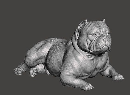 americano valentão perro exótico cão arte escultura esculturas 3d print model - Mito3D