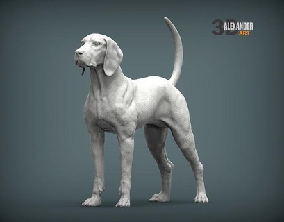 americano Inglés Coonhound perro naturaleza mamífero animal mascota escultura estatuilla recuerdo presente 3d impresión modelo esculpir esculturas Arte 3d print model - Mito3D