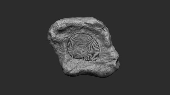 ammonite mineral fossile - realistic printable keychain ammonoidea cephalopod fossil rock real pendant jurassic historic animal creature sea art archelogy paleontology science biology 3d print model - Mito3D