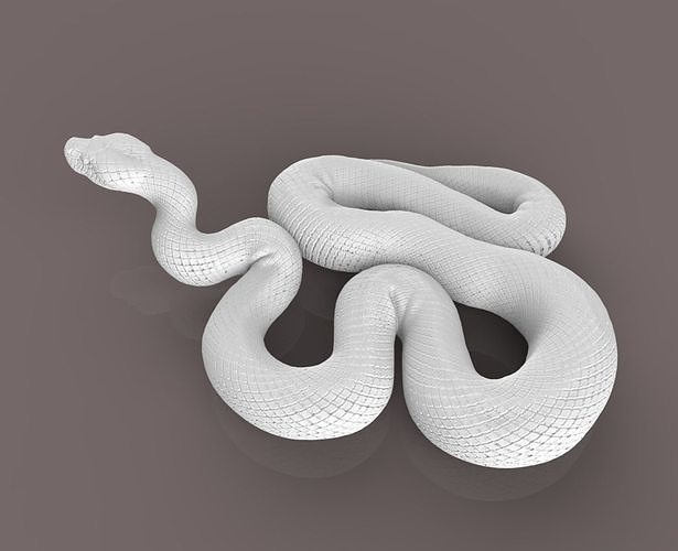 anaconda serpent reptile animal zoologie bête faune nature créature art sculptures 3D print model - Mito3D