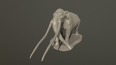 anancus arvernensis sculpture art elephant paleoart dinosaur animals mammal sculptures 3d print model - Mito3D