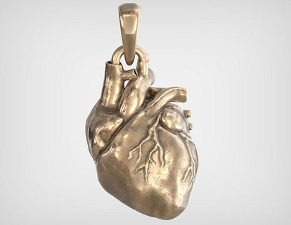 anatomical heart pendant necklace jewelry love anatomy real realism realistic printable pendants resinprinting metal rock goth gothic indie punk emo 3d print model - Mito3D