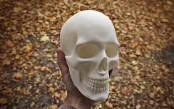 anatomicamente corrigir humano crânio in tamanho 3dmodel 3dprint anatomia ossos esculpir escultura esculturas arte estátua animal esqueleto ciência educar 3d print model - Mito3D
