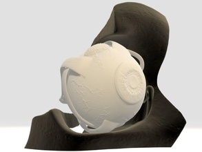 Anatomie Auge druckbar Ball Real realistisch Biologie Schädel medizinisch Kopf Wissenschaft Statue scult Skulptur Spielzeug Spielzeuge 3d print model - Mito3D