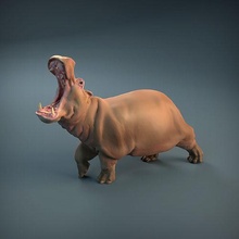 enojado hipopótamo 3d impresión animal Arte escultura figura estatua juguete realista mamífero miniatura naturaleza esculturas 3d print model - Mito3D