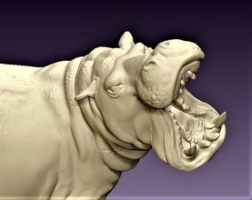 arrabbiato ippopotamo animale arte scultura figura statua giocattolo realistico mammifero miniatura natura sculture 3d print model - Mito3D
