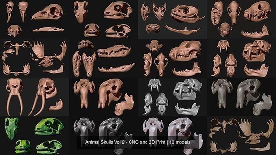 hayvan kafatasları cilt 2 cnc 3d Yazdır kafatası kemik takı baş anatomi iskelet ölü ölüm mezar Bilim metal minyatürler Biyoloji figürinler 3d print model - Mito3D