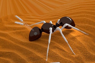 hormiga 3d modelo animales naturaleza insecto arena escritorio arte vida vaso insectos matemático 3d print model - Mito3D
