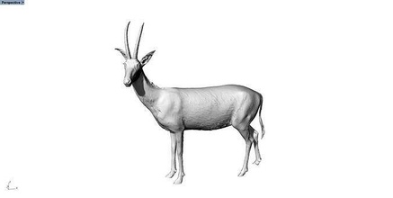 antilope RAM animal sculpture personnages Jeu imprimable décoratif lutin mage engrener électronique cerf klaxon ramure faune nature mammifère renne science 3d print model - Mito3D