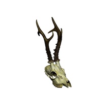 antlers european deer 3d animal bone buck dead dear detailed doe head roe scann scann3d scanned skeleton skull stl obj science biology 3d print model - Mito3D