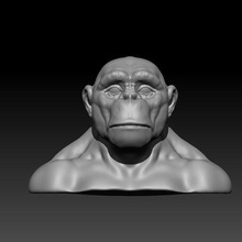 mono cara 3d impresión cabeza personaje animal chimpancé juegos juguetes 3d print model - Mito3D