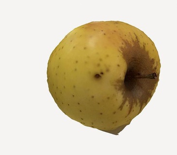 Pomme fruit réaliste texture pulpe segmenté bonne santé vitamine nutritif casse croûte ingrédient tige brillant croustillant juteux polyvalent maison cuisine manger 3d print model - Mito3D