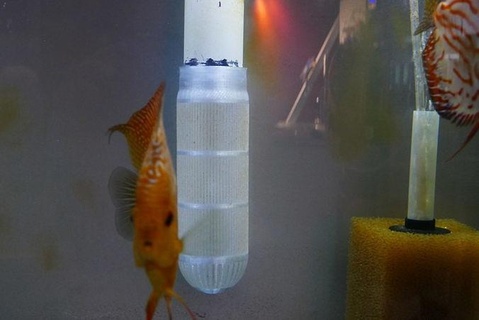 aquarium fendu tuyau accessoires disque poisson frire filtre l'eau abs race larve moustique libre nageur loisir DIY 3d print model - Mito3D