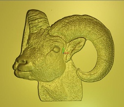 argali animali pecore artcam modello cnc arte sculture 3d print model - Mito3D