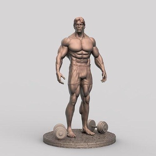 Arnold Schwarzenegger músculo culturismo anatomía cuerpo gimnasio juegos juguetes 3d print model - Mito3D