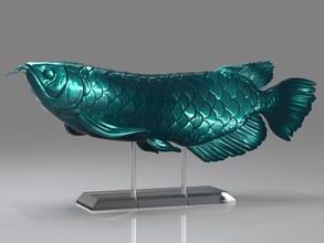 arowana koi fish sculpture zbrush highpoly bronze statue award medal decoration interior animals art sculptures 3d print model - Mito3D