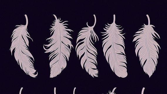 art feathers feather nibs stencils print pattern stencil plate bird nature pigeon leaf eagle wildlife animal beautiful games toys 3d print model - Mito3D