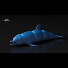 articulado golfinho impressão 3d tubarão peixe embaixo agua animal animais selvagens plástico imprimível mar oceano natureza jogos brinquedos 3d print model - Mito3D