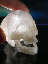articulated skull craneo animal skeleton bones spine human cranium femur skeletal cervical system anatomical games toys 3d print model - Mito3D