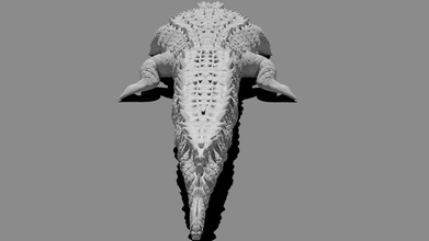 artístico miedo cocodrilo animal escultura arte caimán reptil lagartija dinosaurio desafío niños juguete esculturas fbx 3d print model - Mito3D