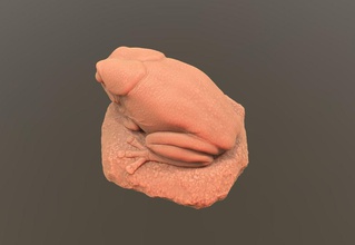asiatico abbattimento statua di rana art tossico medievale asiatica biologico hazzard il rospo radiazioni neclear sculture 3d print model - Mito3D