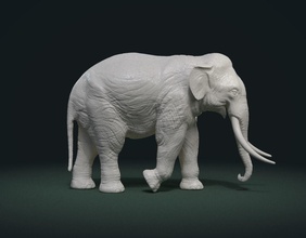 asian elephant indian animal print mammal slon art sculptures 3d print model - Mito3D
