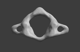 atlas c1 vértebra osso pescoço coluna junta esqueleto médico humano ciência biologia 3d print model - Mito3D