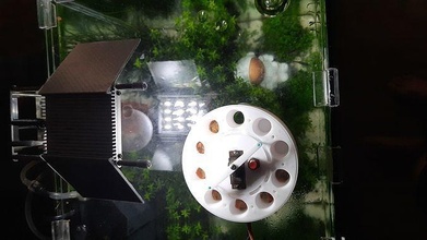 automatique mangeoire poisson chat chien comprimés friandises animal crevette aquarium servo microcontrôleur arduino gadget loisir mécanique pièces DIY 3d print model - Mito3D