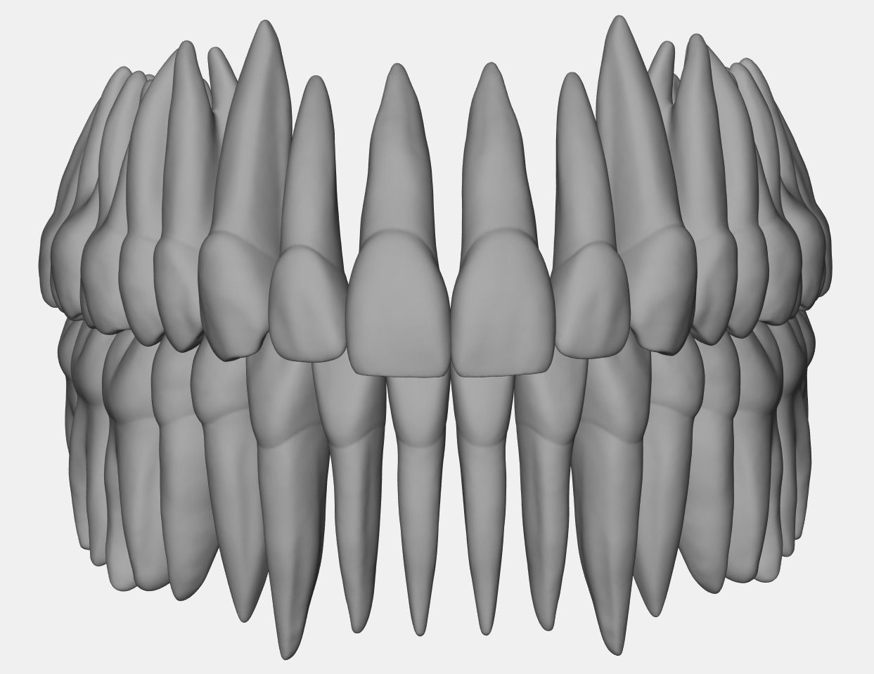 azure upper jaw dental anatomy roots human teeth tooth mouth exocad people root morphology dentistry science biology 3D print model - Mito3D