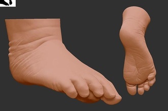 baby feet hand anatomy fetus art artst footwear shipping cargo container sandal 40ft finger science body boot sculptures 3d print model - Mito3D