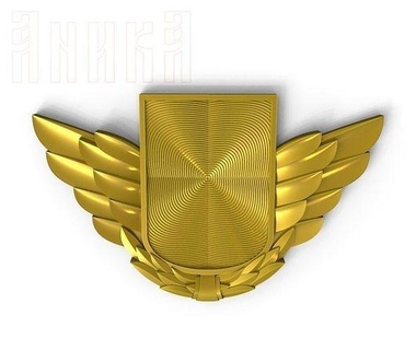 badge bouclier ailes Contexte métallique conception prix uniforme médaille symbole art pièces monnaie badges 3d print model - Mito3D