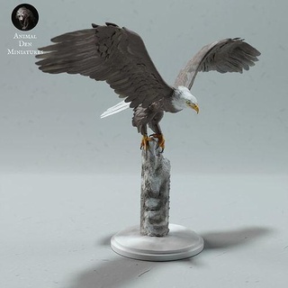 kel kartal hayvan arktik kuş av tüyü vahşi yaban hayatı yaratık gerçekçi heykel heykelcik minyatür kış tundra kar şahin sanat heykeller 3d print model - Mito3D