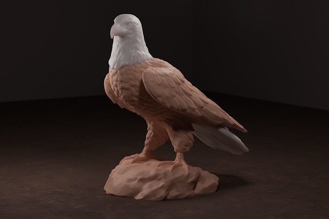 chauve aigle sculpture oiseau portrait rapace faune bec audubon nature faucon ciel etats unis amérique plume talon art sculptures 3D print model - Mito3D