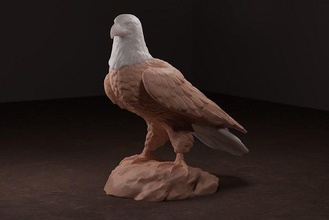 bald eagle sculpture bird portrait raptor wildlife beak audubon nature hawk sky usa america feather talon art sculptures 3d print model - Mito3D