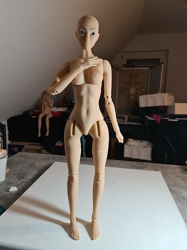 bola articulado boneca fêmea múltiplo partes unicórnio conjunto adicionar ons mulher corpo peludo fofa figura arte moda 3D print model - Mito3D
