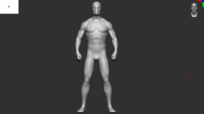 base maglia maschio corpo 4 uomo carattere umano realistico anatomia tipo 3dhuman arte sculture 3D print model - Mito3D