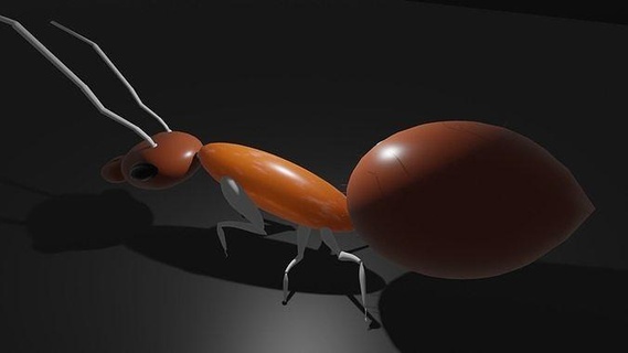basic ant model nature biology anatomy science animal insect 3d print model - Mito3D