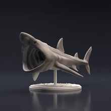 basking shark 3d printing animal fish ocean water predator sculpture miniature figure toy presupported supported sea wildlife creature companion nature statue art sculptures 3d print model - Mito3D
